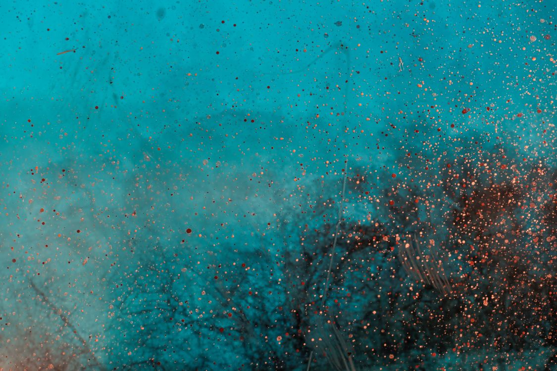 Обои зеленый, синий, бирюза, чирок, Аква в разрешении 6000x4000