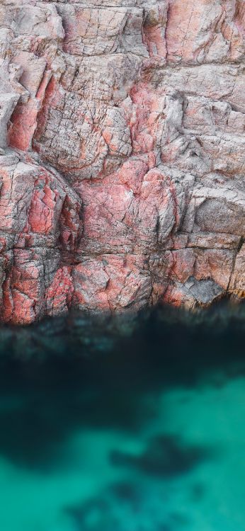 Обои apple, iPhone 12 Pro, iPhone 12 Pro Max, iPhone XS Max, macOS Big Sur в разрешении 1242x2688