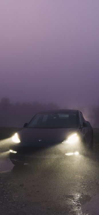 Обои Tesla Model 3, Tesla, отражение, Король, вода в разрешении 1242x2688