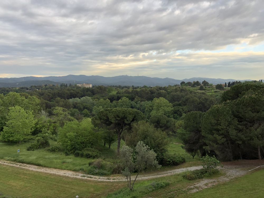 Обои биом, кустарник, растительность, облако, растительное сообщество в разрешении 2048x1536