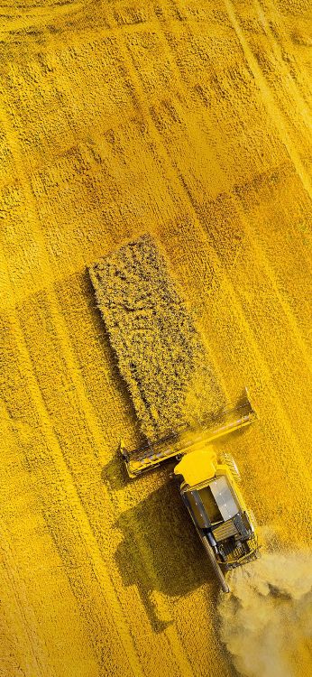 Обои asus, Asus ZenFone, Asus ZenFone 6, asus zenfone max pro m1 zb602kl, rog phone ii в разрешении 1080x2340