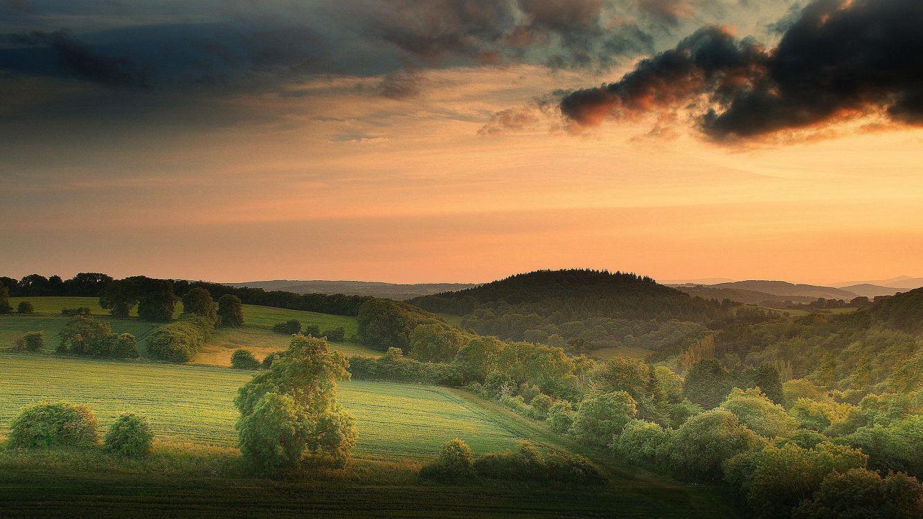 Обои живопись, пейзажная живопись, сенокосное угодье, утро, холм в разрешении 2048x1152
