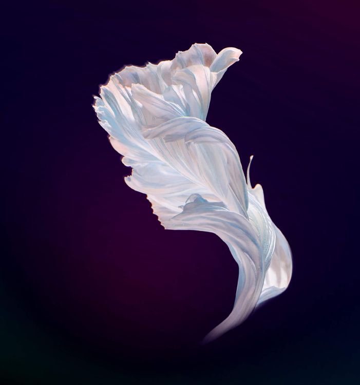 Обои Huawei, Huawei Nova, Huawei Nova 4, invens a9, huawei nova 4e в разрешении 2160x2310