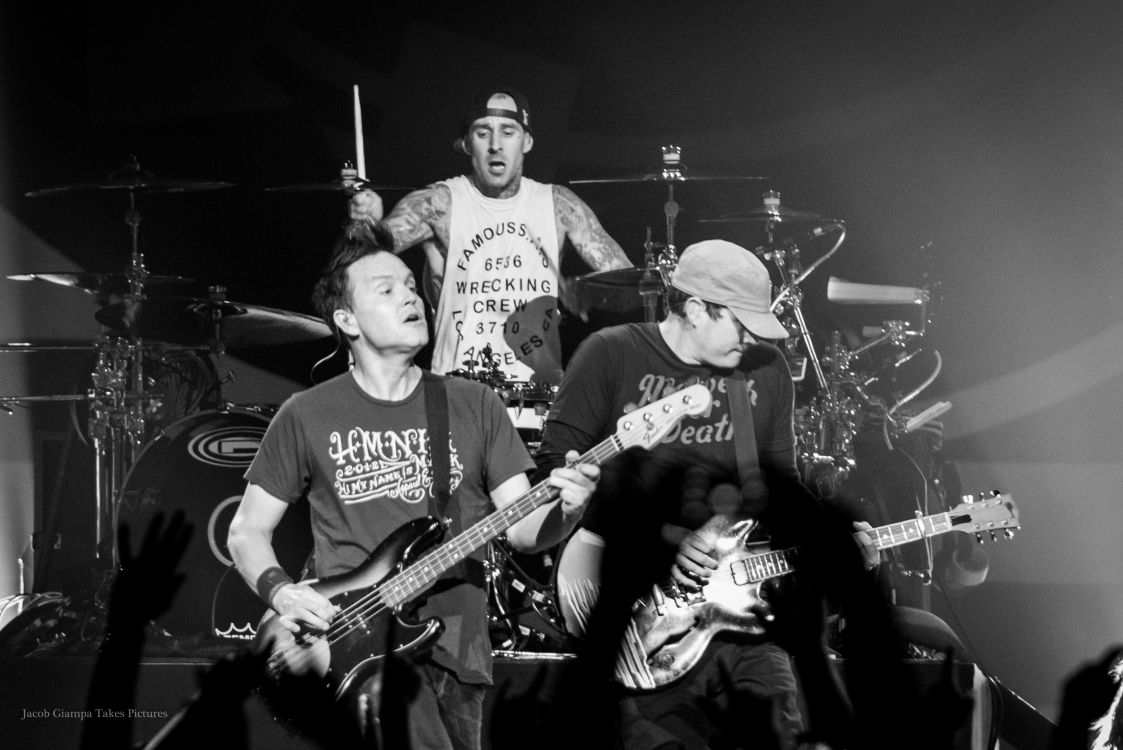 Обои Том Делонг, Блинк-182, панк-рок, поп-панк, мгновение в разрешении 3051x2036