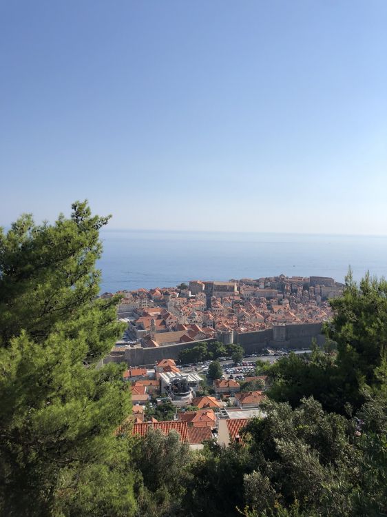 Обои пейзажи гор, наука, биология, растительность, соседство в разрешении 1536x2048