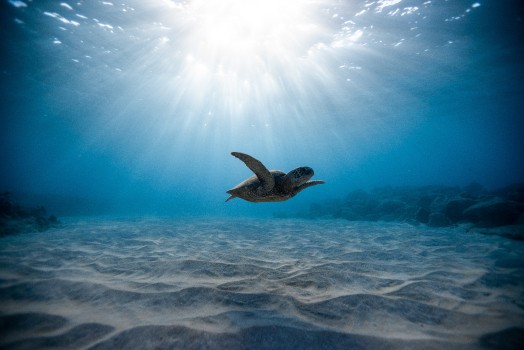 Фон морская вода для фотошопа