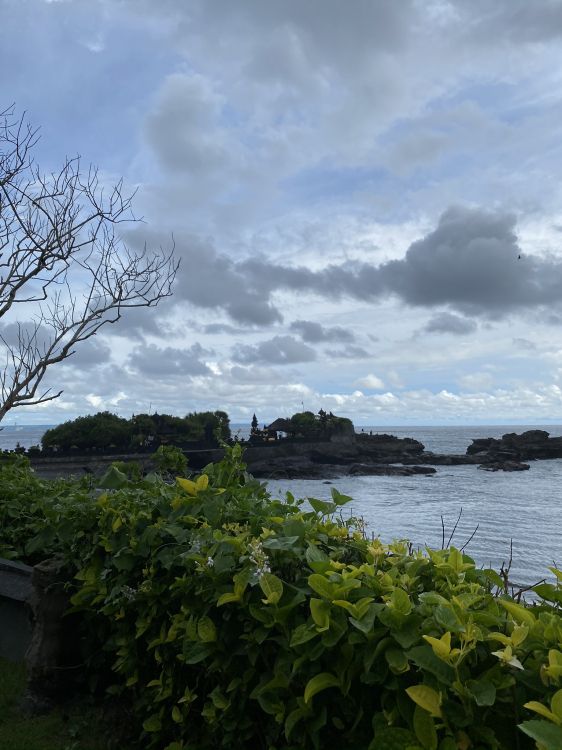 Обои вода, лист, наука, растительность, облако в разрешении 1536x2048