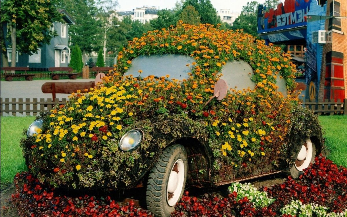 Обои цветник, сад, дерево, декоративное искусство, садоводство в разрешении 1920x1200