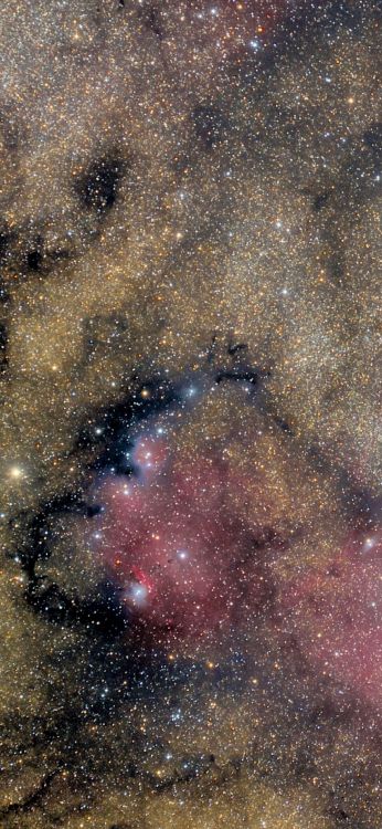 Обои туманность, коричневый цвет, астрономический объект, Галактика, наука в разрешении 1080x2340