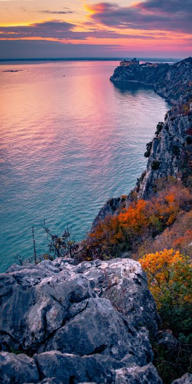 Обои вода, растение, лазурный, природный ландшафт, водоем в разрешении 1280x2560