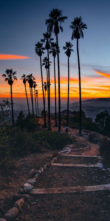 Обои Коран, путешествие, рюкзак, отпуск, одиночное путешествие в разрешении 2618x5238