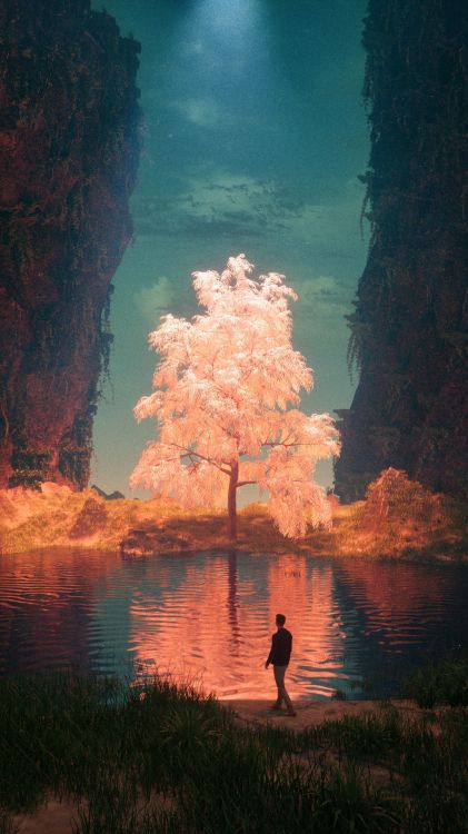 Обои Вильсальпсее, Ко Липе, soundcloud, радость в дикой природе, Альбом в разрешении 1080x1920