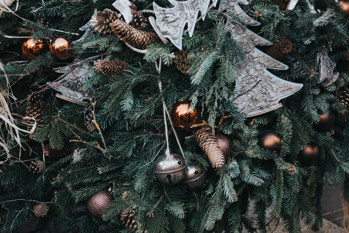 Обои Рождественский день, Рождественские украшения, рождественский орнамент, дерево, растение в разрешении 5760x3840
