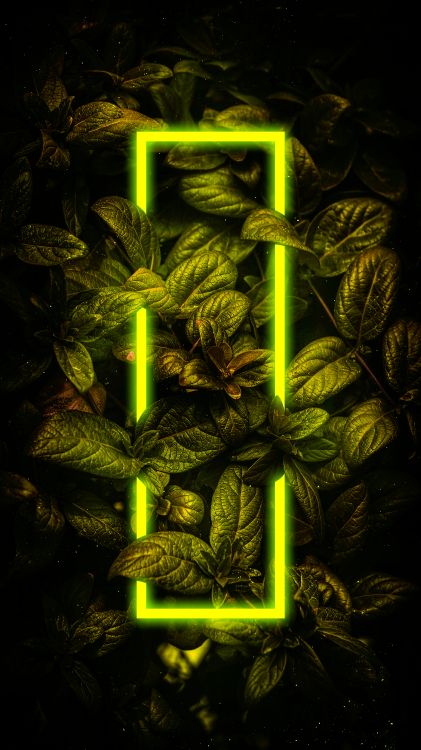 Обои наземное растение, растение, арт, узор, темнота в разрешении 3240x5760