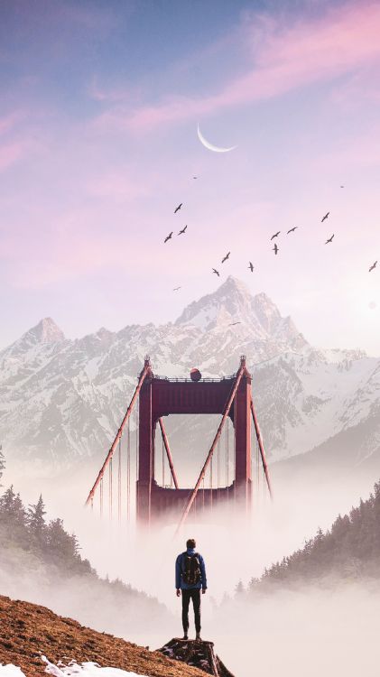 Обои облако, гора, птица, снег, природа в разрешении 1440x2560