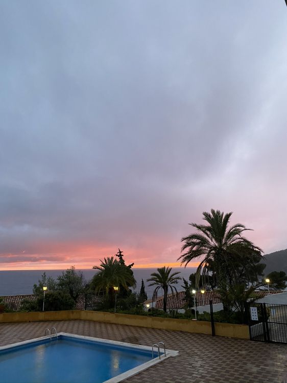 Обои пальмовые рощи, плавательный бассейн, сумрак, недвижимость, прибежище в разрешении 1536x2048