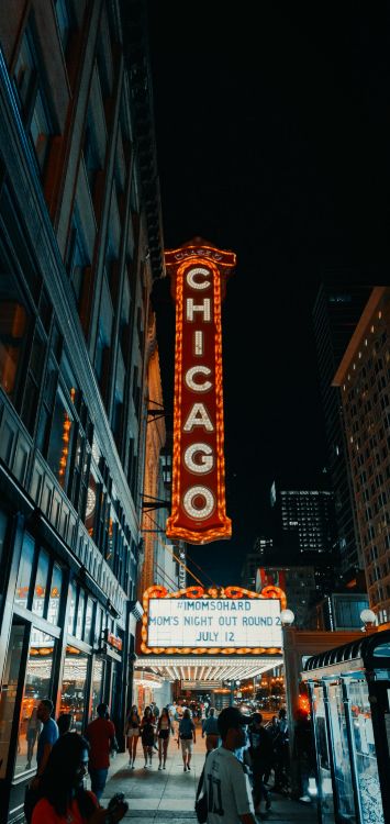 Обои цыпленок, кинорежиссер, здание, небоскреб, окно в разрешении 1420x3000