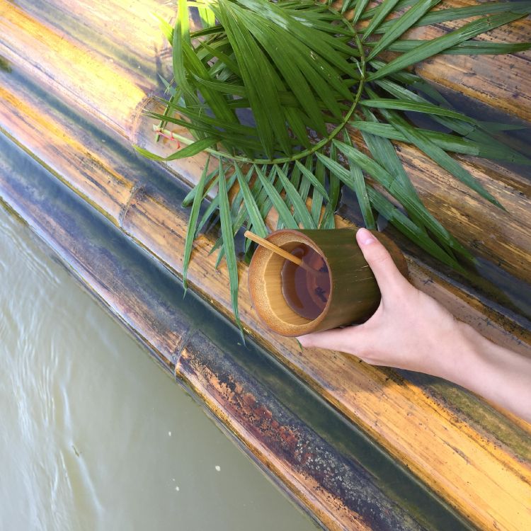 Обои лист, стебель растения, пальмовые рощи, трава, наука в разрешении 2448x2448