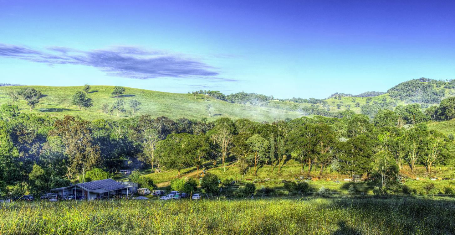 Обои природный заповедник, природа, растительность, нагорье, сенокосное угодье в разрешении 4200x2165