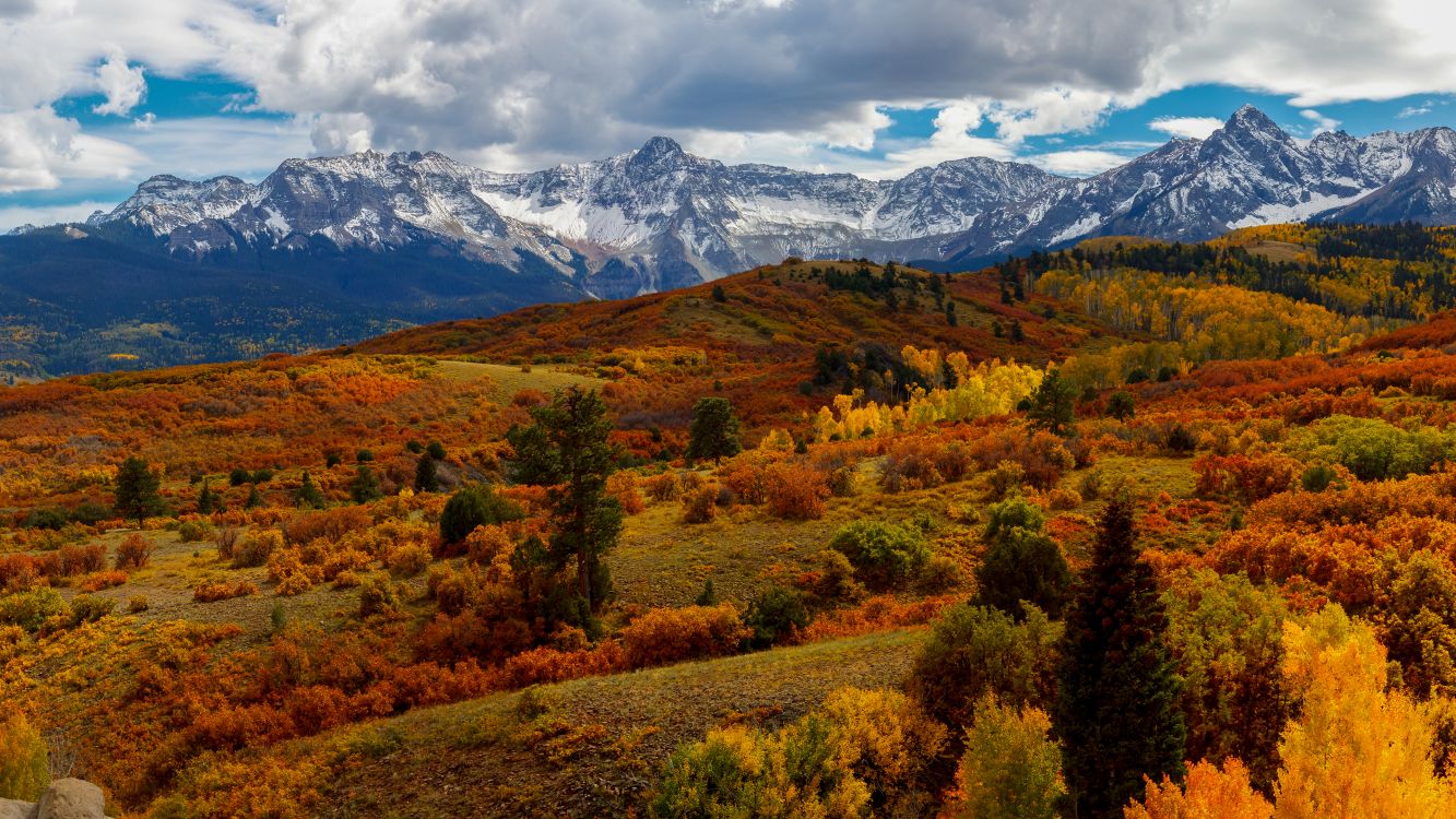 Обои природа, гора, облако, растение, лист в разрешении 3840x2160