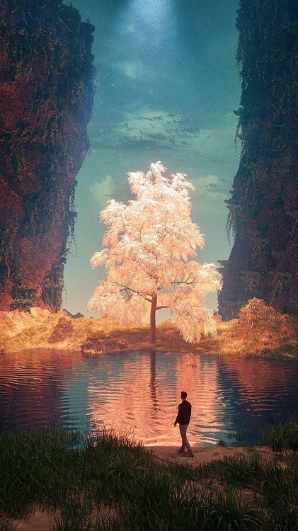 Обои Вильсальпсее, спелый, радость в дикой природе, soundcloud, спотифай в разрешении 984x1750