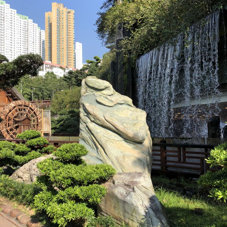 Обои дерево, статуя, археологический памятник, резьба по камню, растение в разрешении 1772x1772