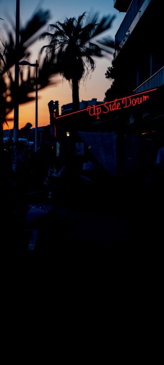 Обои облако, здание, дорожное покрытие, растение, асфальт в разрешении 1440x3200