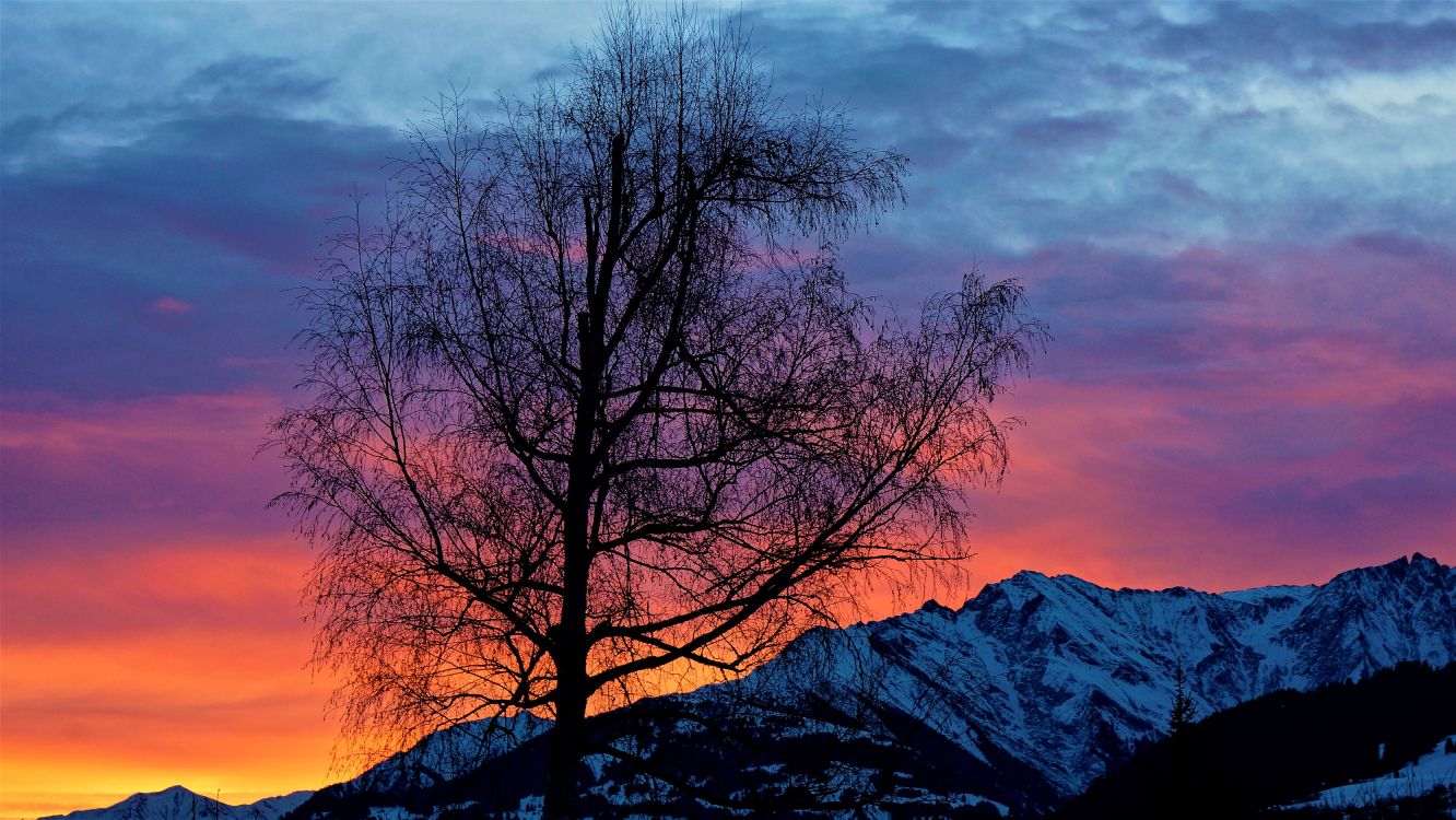 Обои природа, утро, восход солнца, закат, природный ландшафт в разрешении 6000x3376