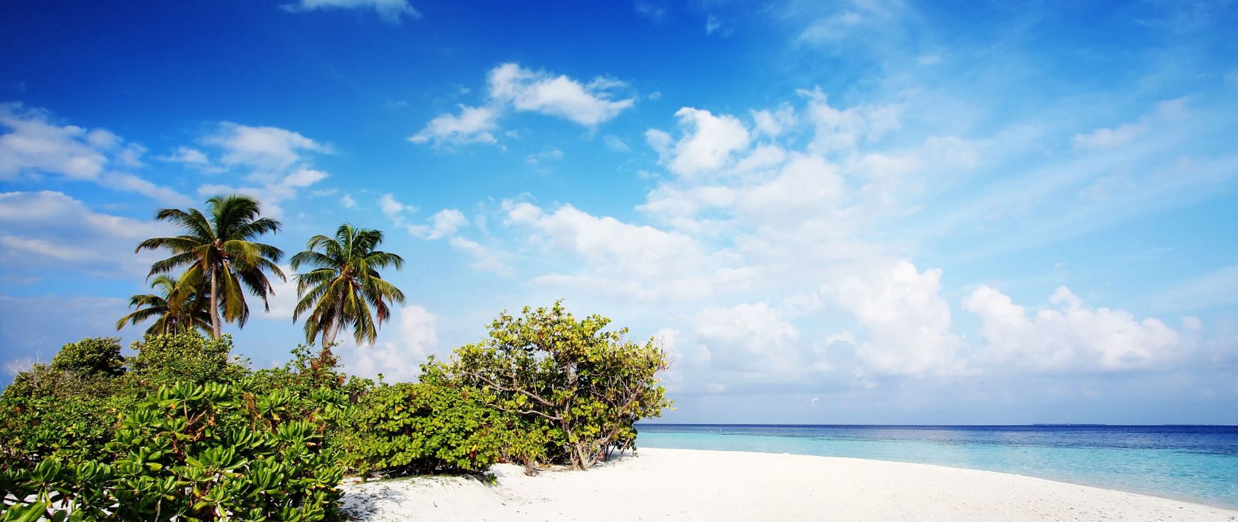 Обои пляж, тропическая зона, Карибский бассейн, растительность, море в разрешении 2560x1080