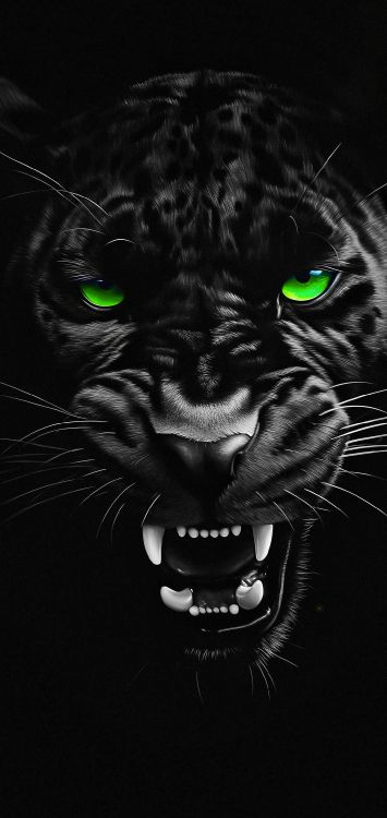 Обои Черная пантера, Лига Чемпионов УЕФА, ФК Барселона, видеозапись, Тикток в разрешении 1080x2280