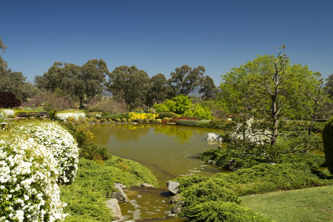 Обои природа, сад, Банк, растительность, вода в разрешении 3000x2000