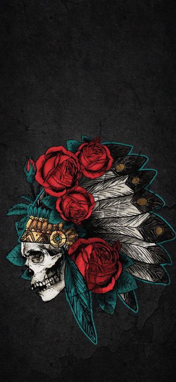 Обои Роза, сад роз, цветок, растение, лепесток в разрешении 1080x2340