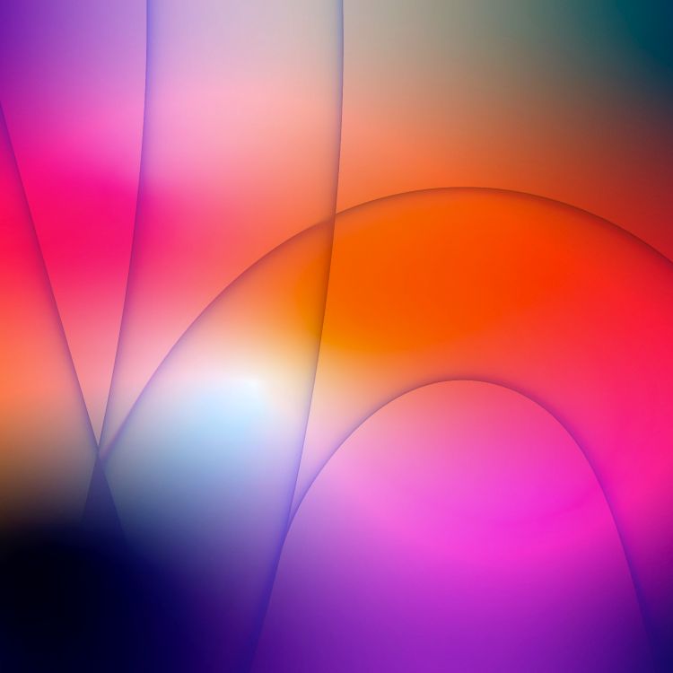 Обои Апельсин, наука, предвычисление, физика, красочность в разрешении 6016x6016