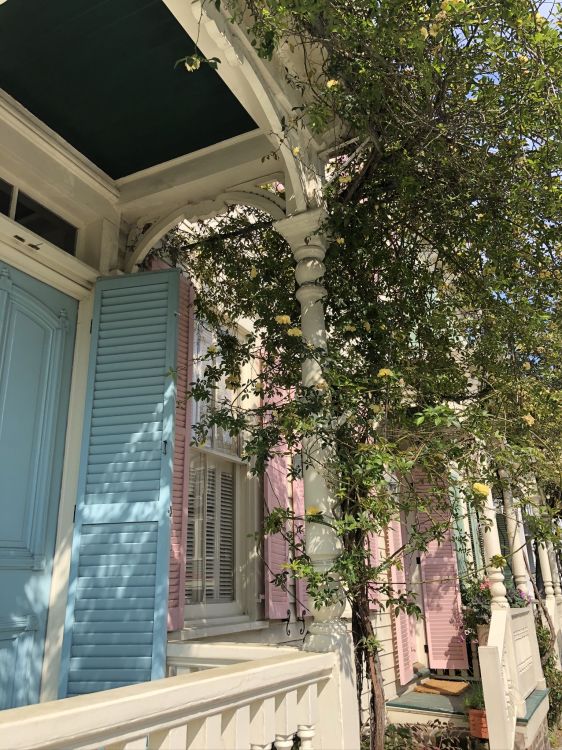 Обои дерево, древесина, свойство, Хаус, недвижимость в разрешении 1536x2048