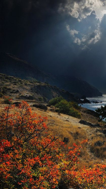 Обои Черное море, растительность, дикая местность, облако, побережье в разрешении 1080x1920