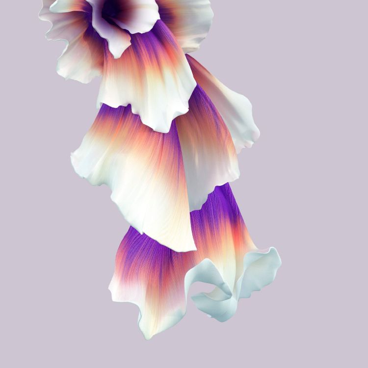 Обои Huawei, Huawei Honor 20, huawei honor 20 pro, обои honor 20 pro, честь 10 в разрешении 2340x2340