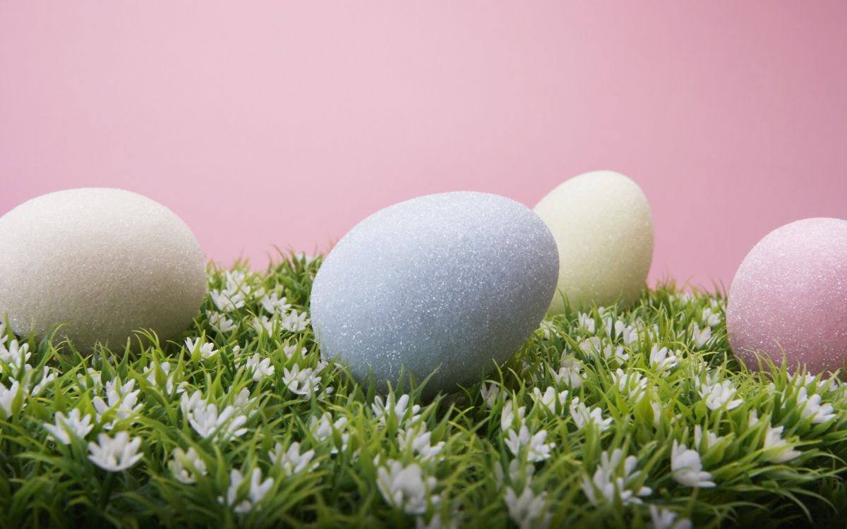 Обои пасхальное яйцо, яйцо, пасха, праздник, воскресение в разрешении 2560x1600