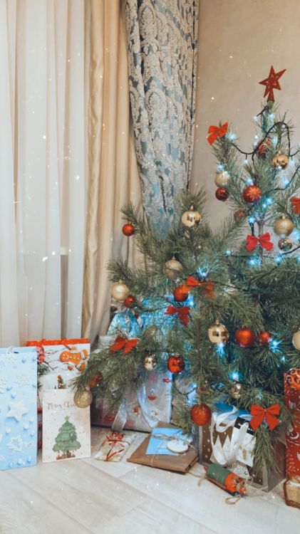 Обои елка, Рождественский день, дерево, дизайн интерьера, ветвь в разрешении 1242x2208