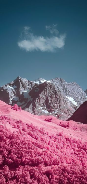 Обои яблоко, смартфон, облако, растение, гора в разрешении 1421x3000