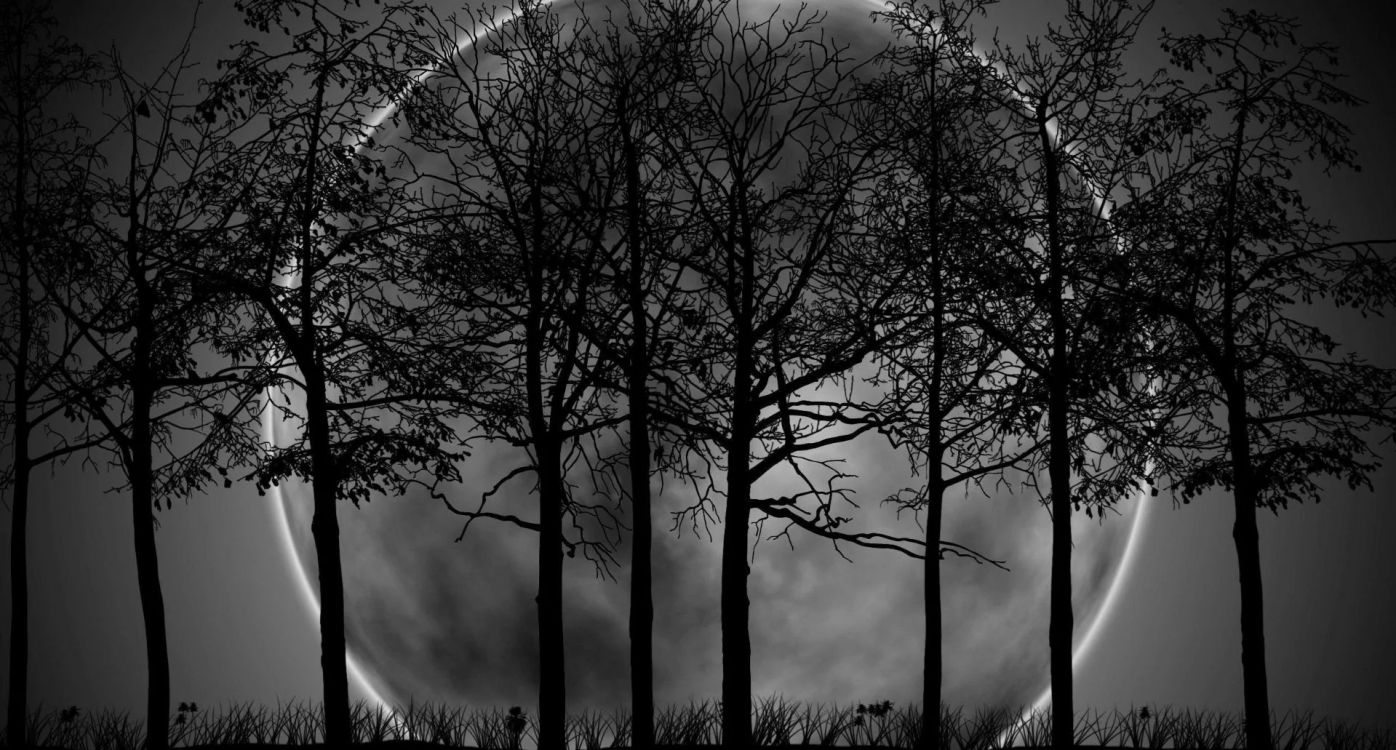 Обои фреска, атмосфера, растение, природный ландшафт, прут в разрешении 1920x1031