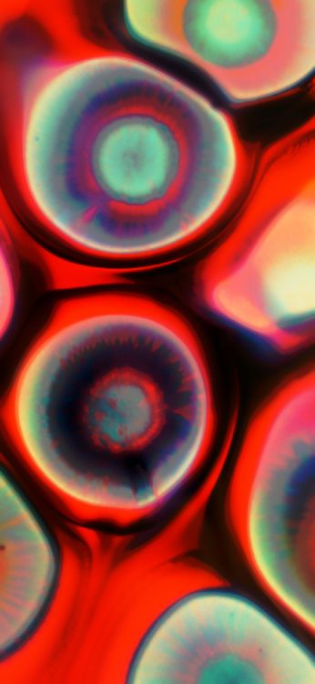 Обои крупный план, красочность, свет, красный цвет, арт в разрешении 1170x2535