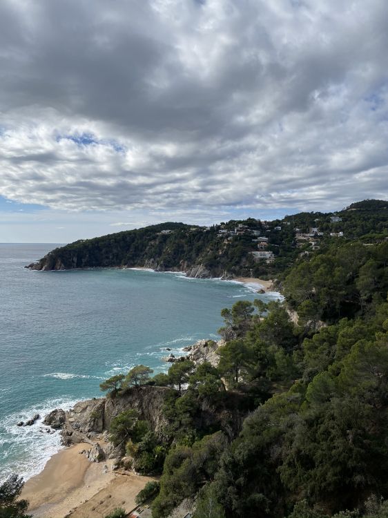 Обои побережье, вода, водоем, берег, океан в разрешении 1536x2048