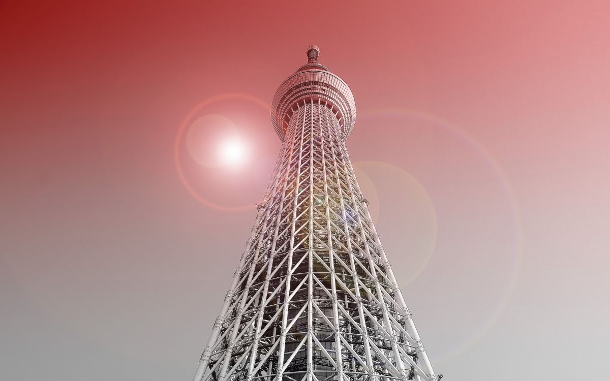 Обои Токио Skytree, вышка, цветение вишни, здание, небо в разрешении 2560x1600