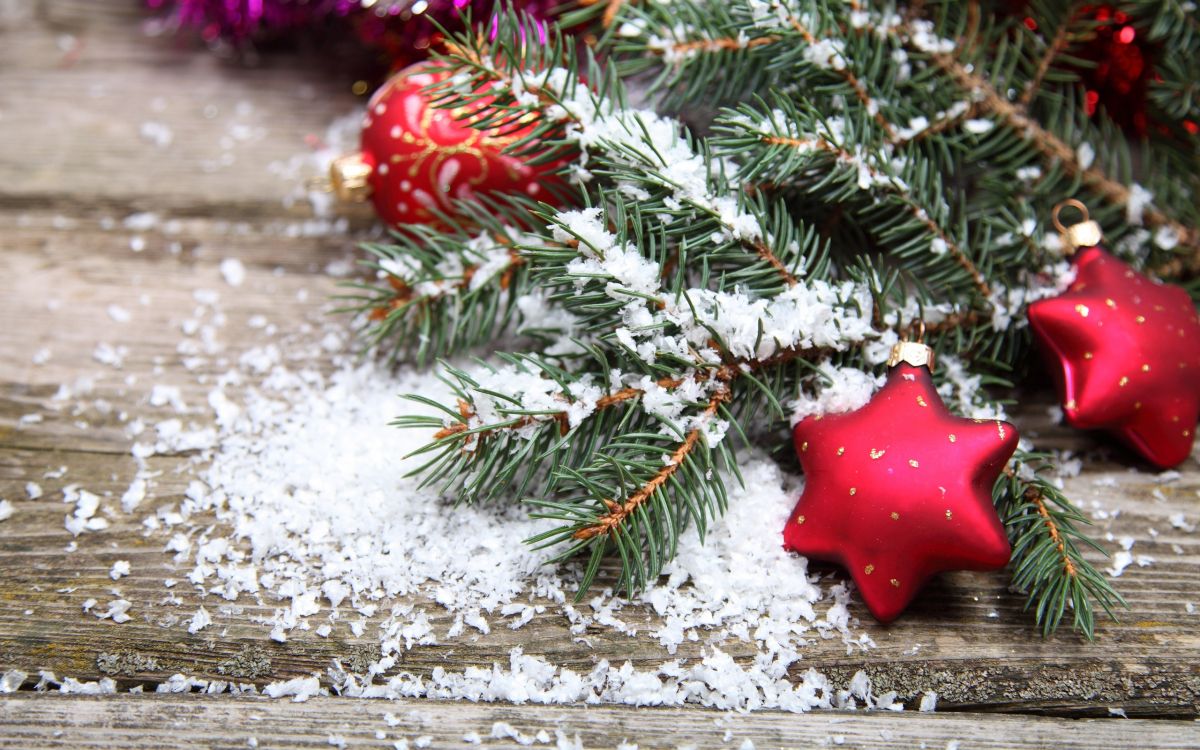 Обои Рождественский день, Новый год, Рождественские украшения, ветвь, рождественский орнамент в разрешении 2560x1600