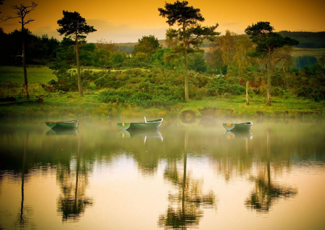 Обои отражение, природа, утро, вода, Банк в разрешении 2560x1810