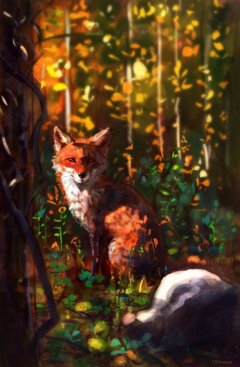 Обои солнечный свет, Fennekin, лист, осень, лиса в разрешении 1920x2932
