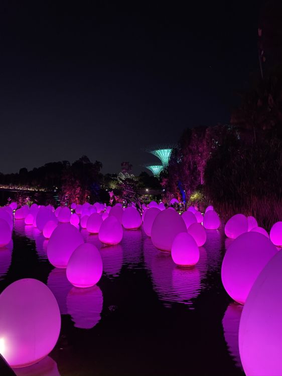 Обои Сингапур, свет, физика, наука, ночь в разрешении 1536x2048