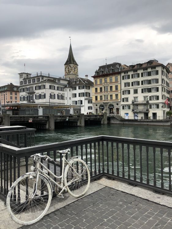 Обои вдоль реки, велосипедная шина, колесо, велосипедное колесо, обод колеса велосипеда в разрешении 1536x2048