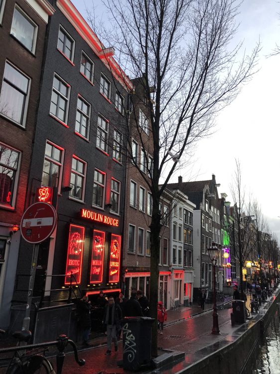 Обои Амстердам, улица, окно, городок, соседство в разрешении 1536x2048