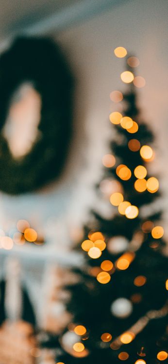 Обои Новый год, Рождество, солнечный свет, свет, растение в разрешении 1797x3889